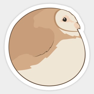 Bird Balls:  Barn Owl Sticker